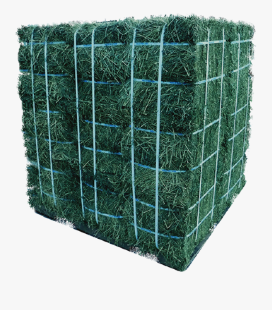 Clip Art Alfalfa Photos - Alfalfa Bales Png, Transparent Clipart