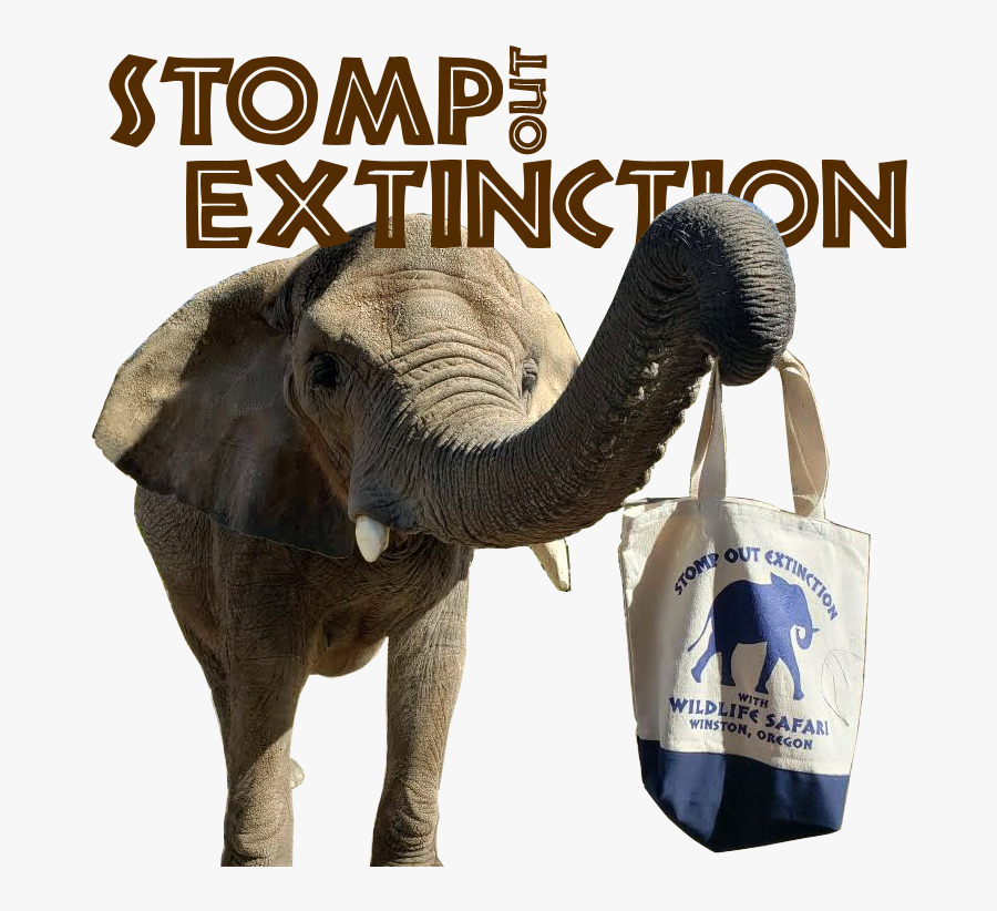 Help Us Stomp Out Extinction - Indian Elephant, Transparent Clipart