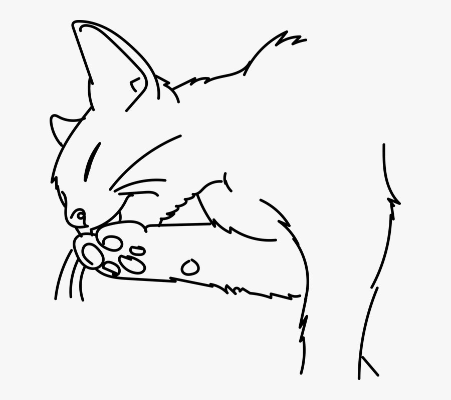 Cat, Transparent Clipart