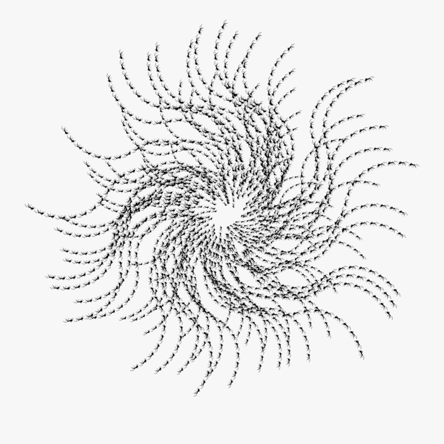 Ants Corona Clip Arts - Line Art, Transparent Clipart