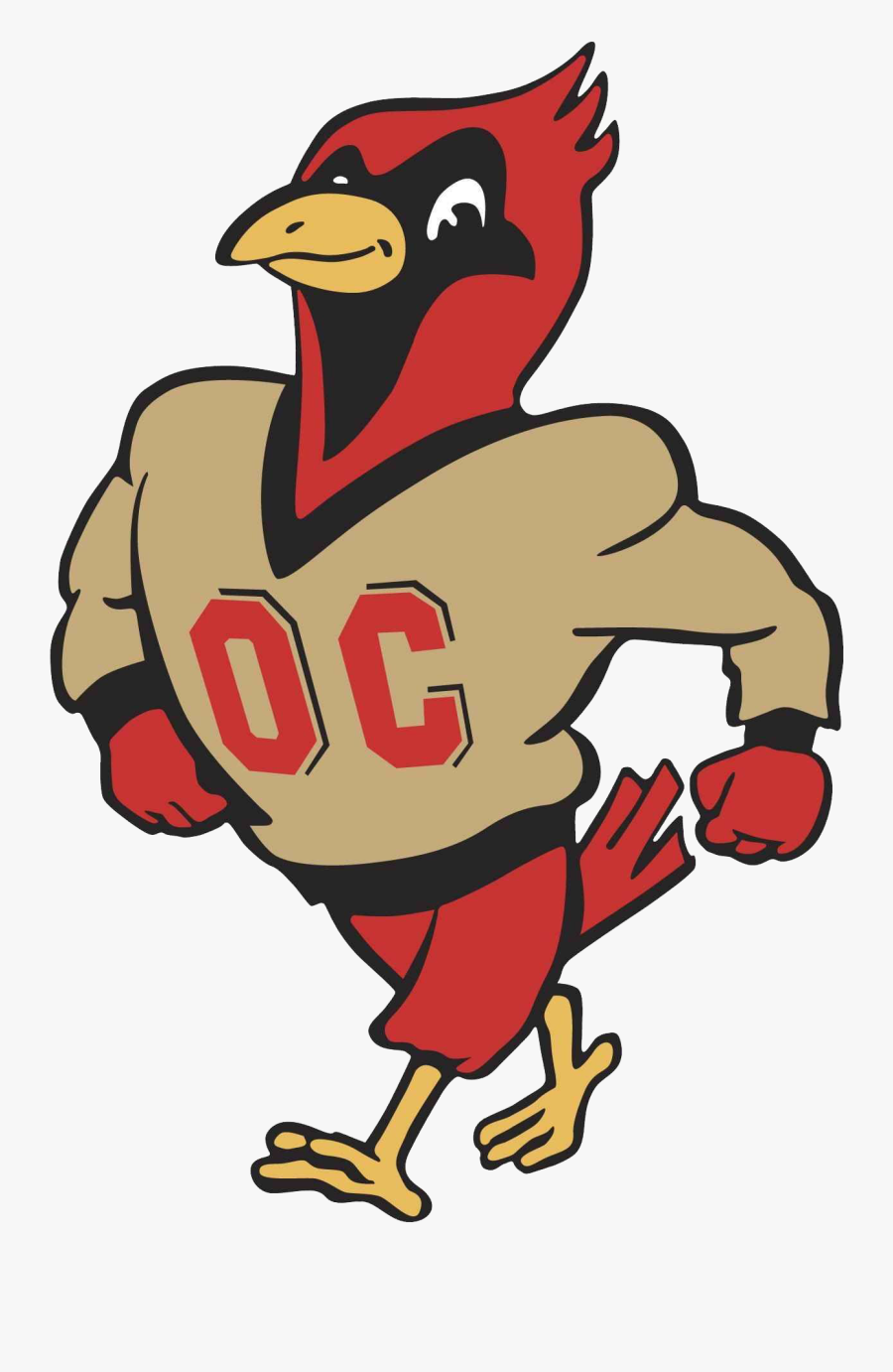 Cardinals Otterbein University Westerville - Otterbein University Athletics, Transparent Clipart