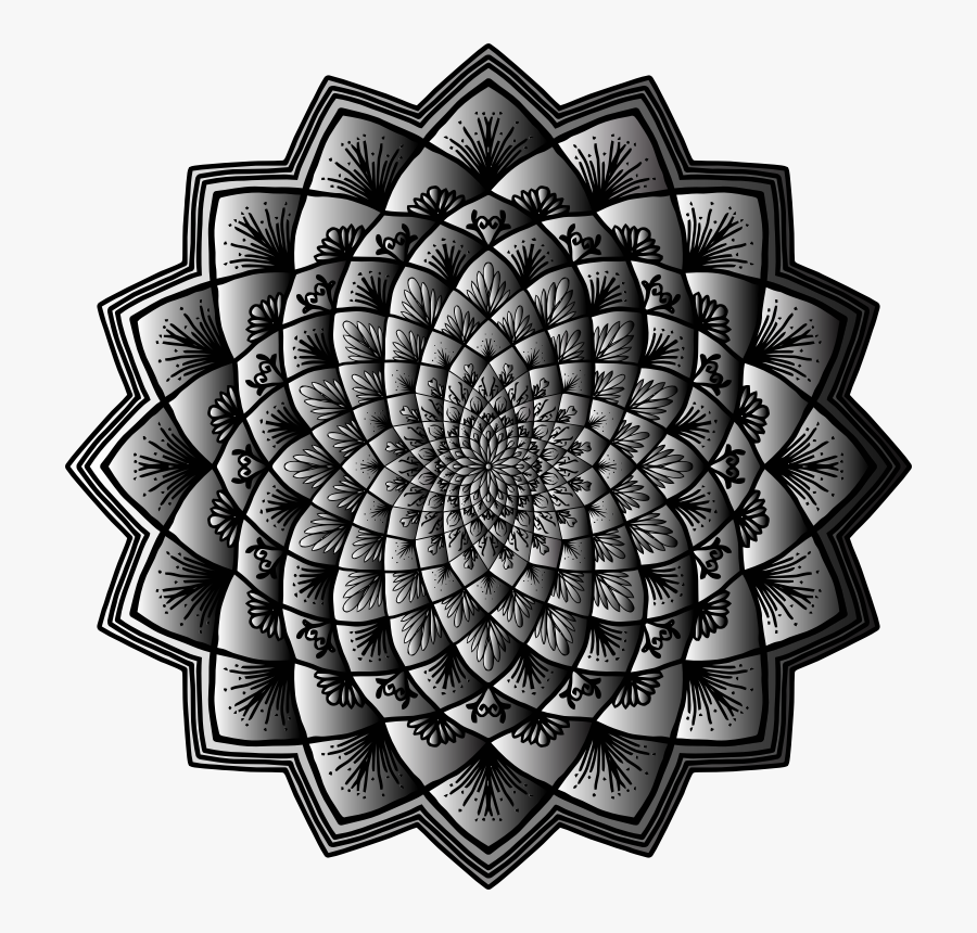 Circle, Transparent Clipart