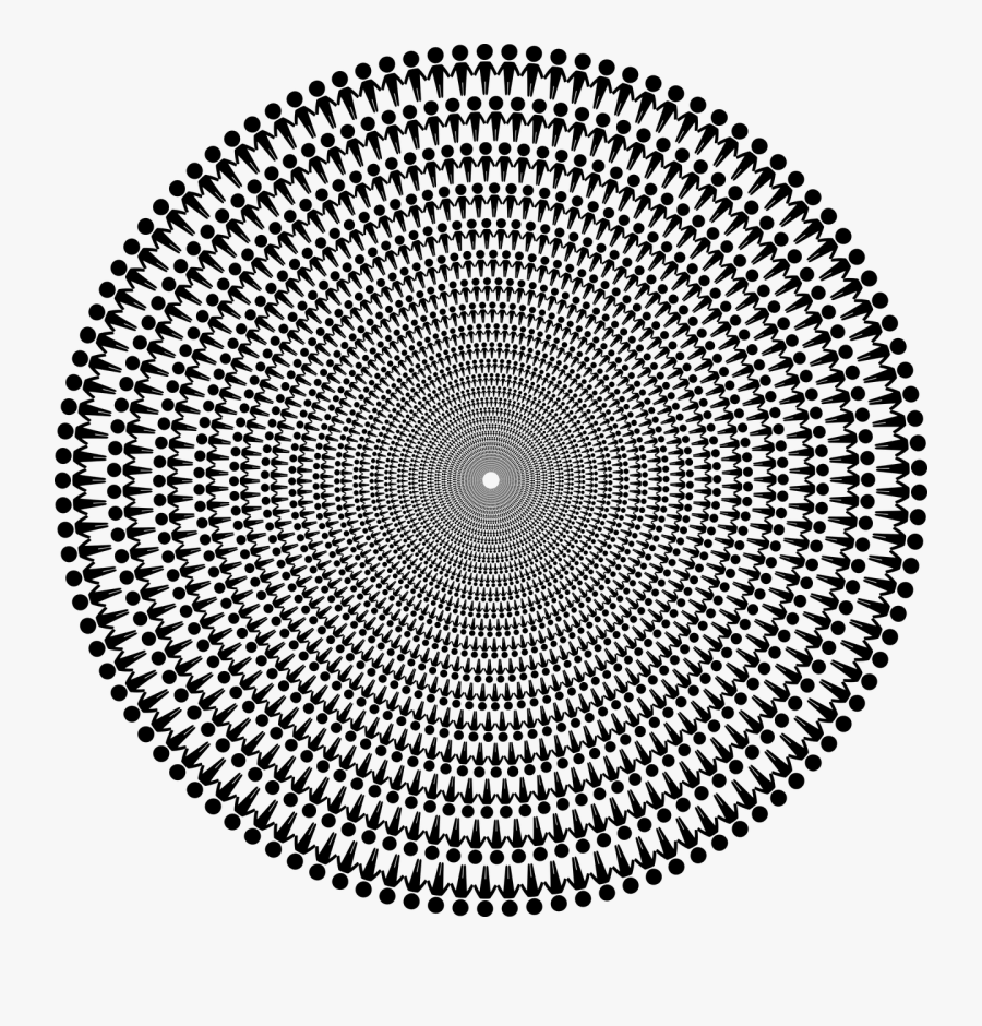 Marigold Flower Vector Png, Transparent Clipart