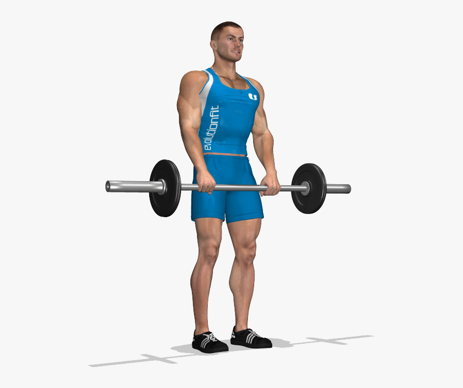 Transparent Deadlift Png - Stacchi A Gambe Tese, Transparent Clipart