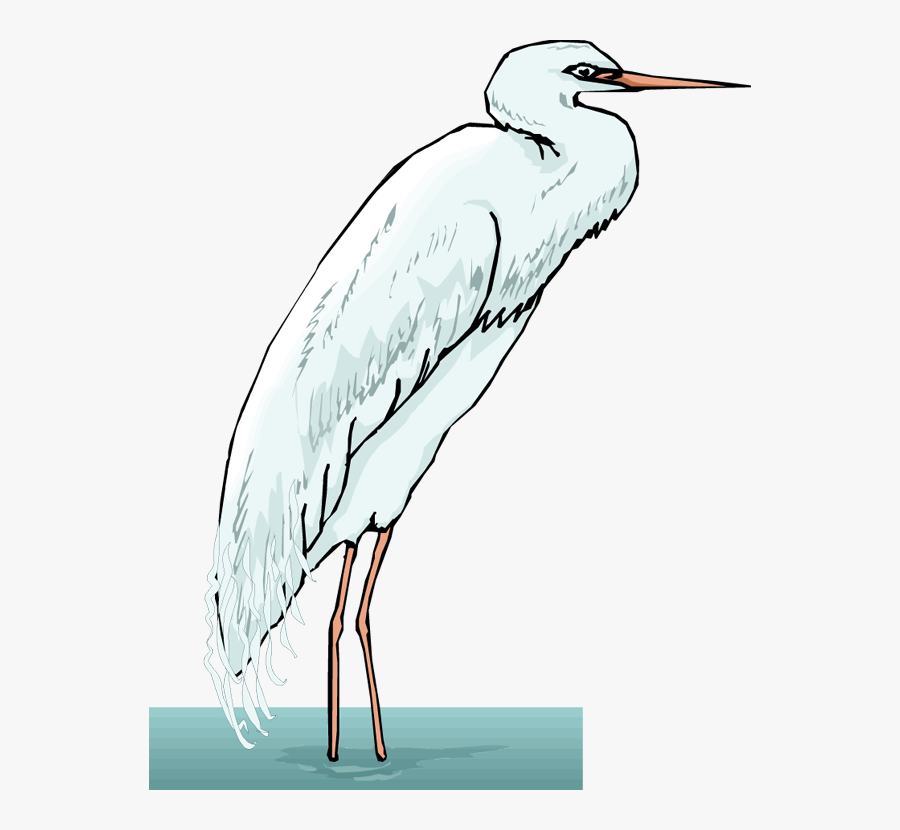 Egretpng, Transparent Clipart