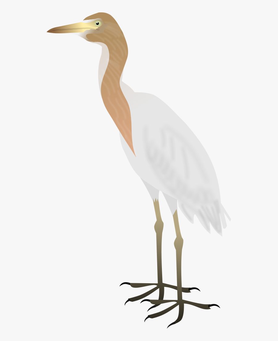 Great Egret Clipart Flying, Transparent Clipart