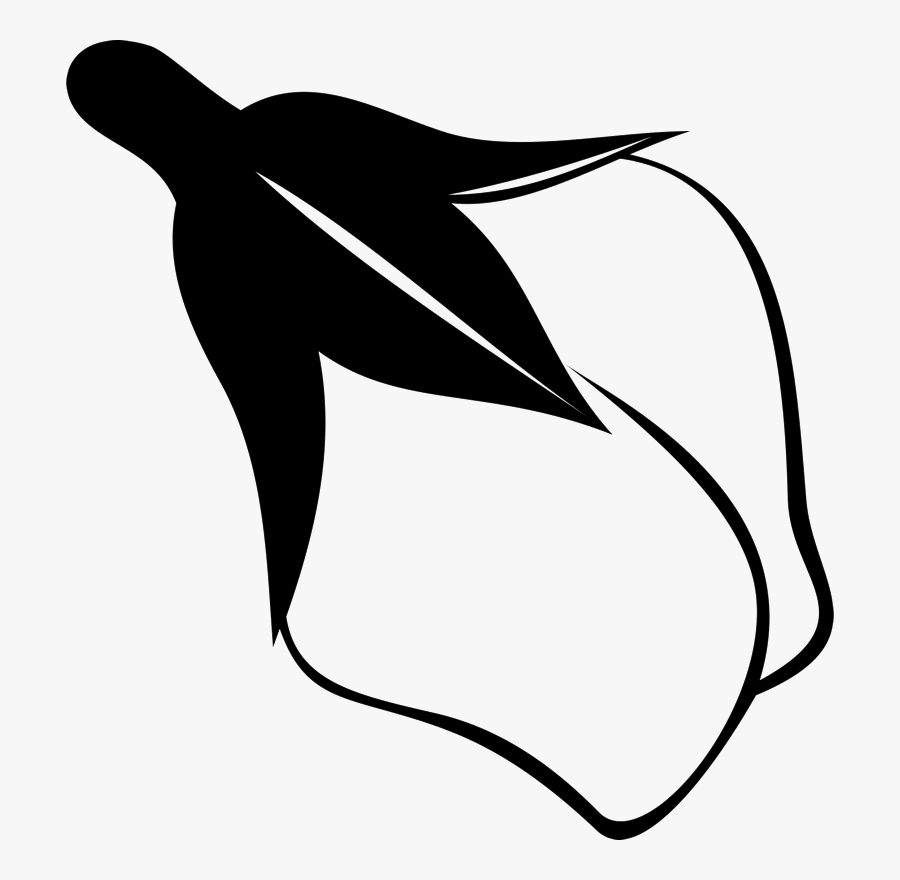 Bud Drawing Black And White , Transparent Cartoons, Transparent Clipart