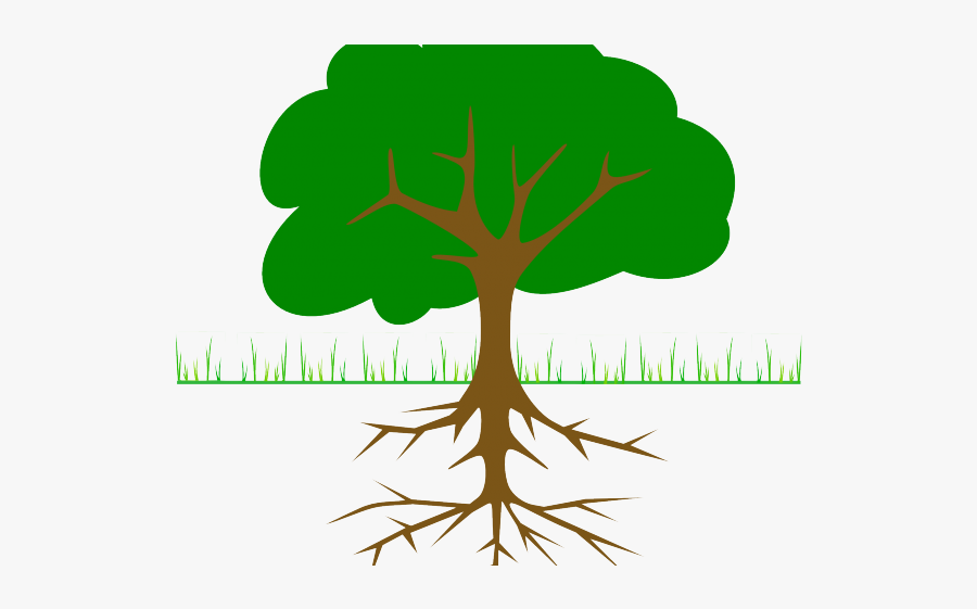 Sapling Cliparts - Tree With Roots, Transparent Clipart