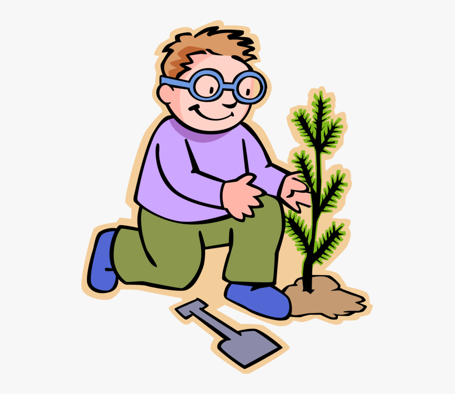 Boy Evergreen Tree Vector - Imagenes De Observación Directa, Transparent Clipart