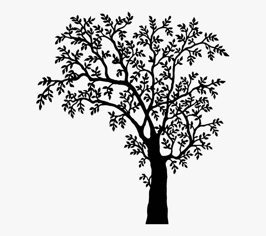 Tree, Plant, Vegetation, Nature, Vintage, Silhouette - Tree Silhouette, Transparent Clipart