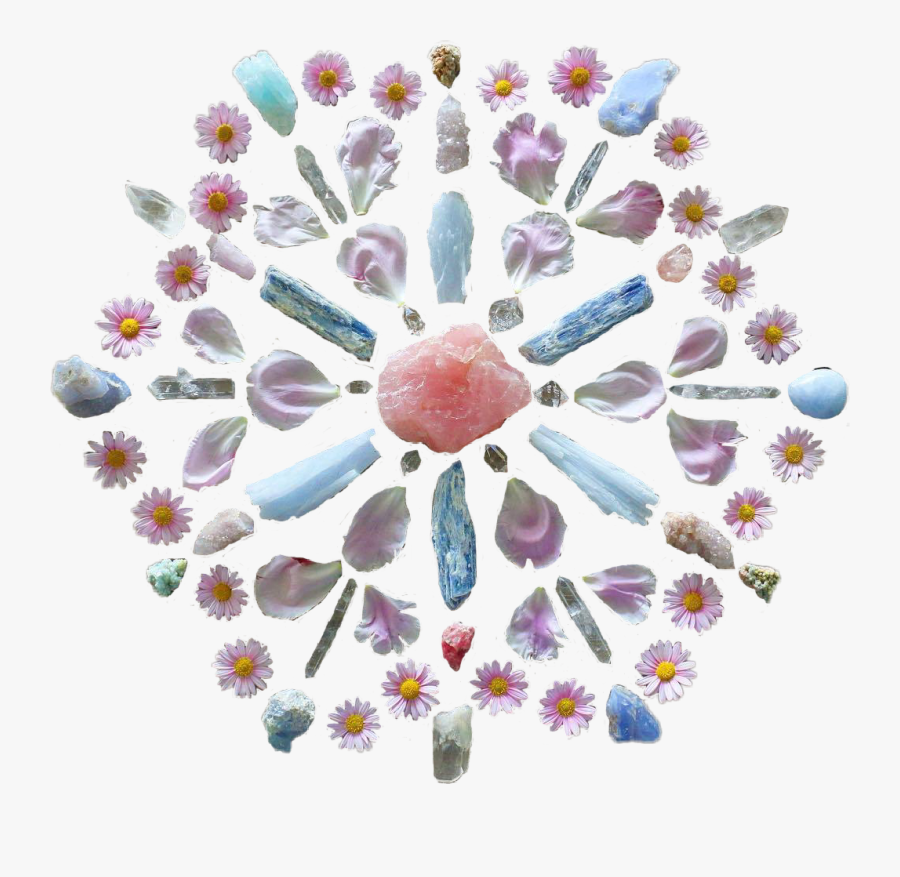 #crystal #crystals #flower #flowers #roses #rose #rosequartz - Aster, Transparent Clipart