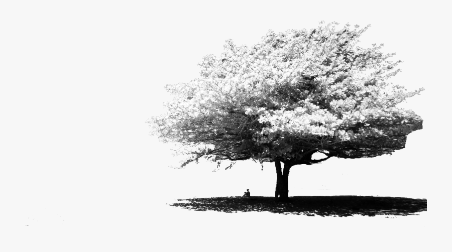 Transparent Landscape Background Clipart - Photography, Transparent Clipart