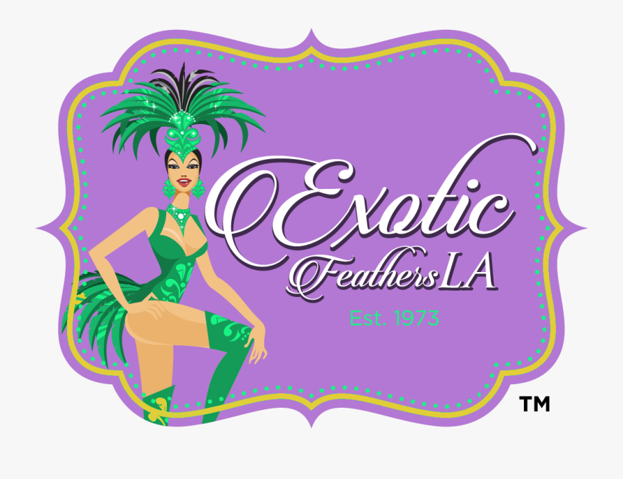 The Feather Palace Supplies A Wide Variety Of Ostrich - Illustration, Transparent Clipart