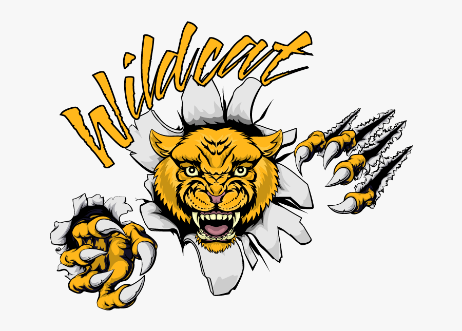 Kidz Off Handcycles Delivered - Cartoon Wild Cat, Transparent Clipart