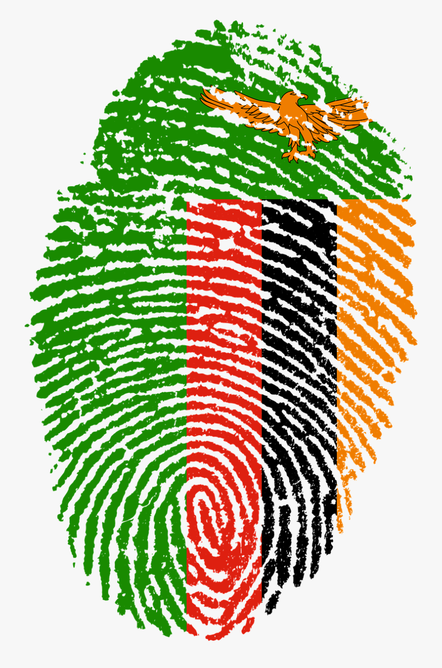 Bangladesh Flag Fingerprint, Transparent Clipart