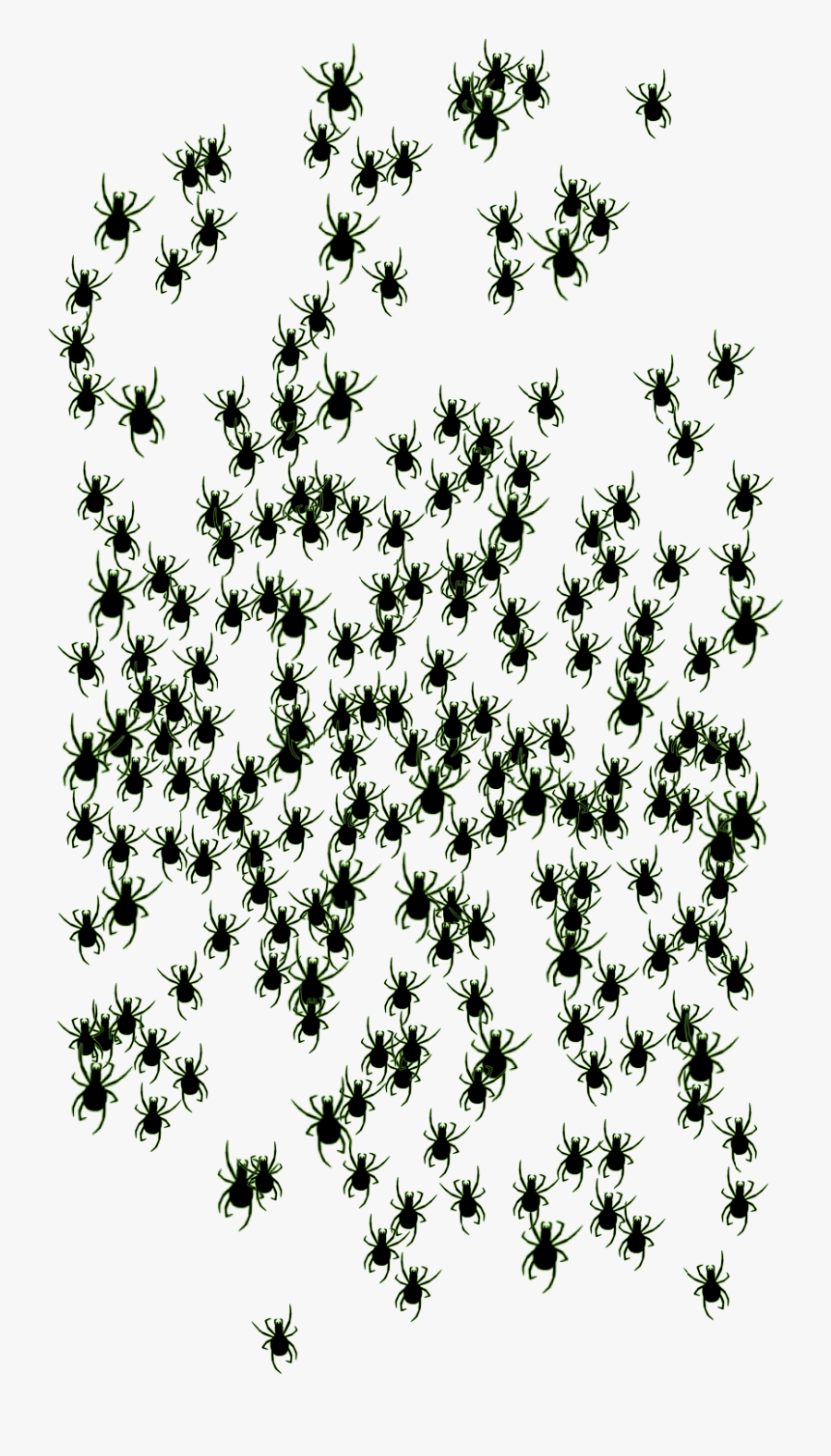 Insect, Transparent Clipart