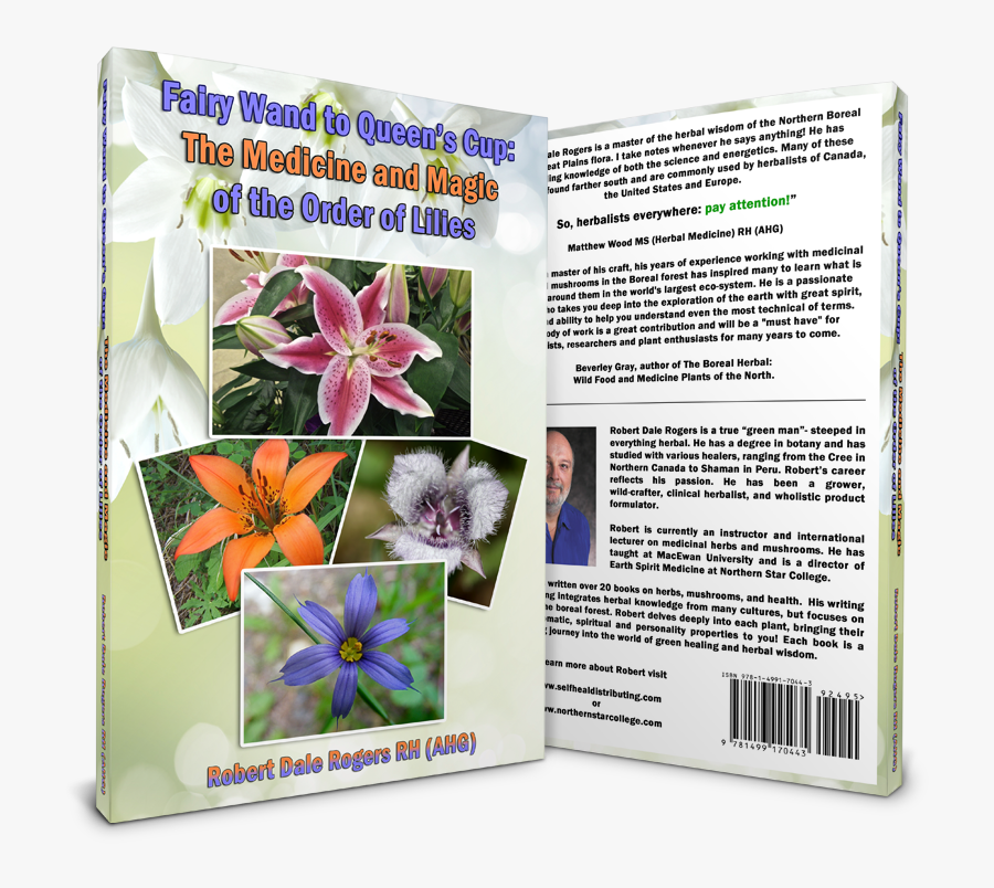 Fairy Wand To Queens Cup - Lily, Transparent Clipart