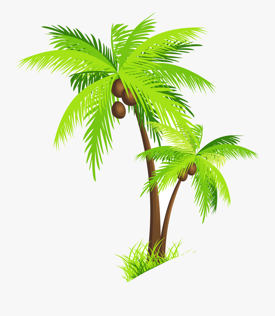 Safari Trees Hd Coconut Tree Clipart Palm Clip Art - Coconut Tree Vector Png, Transparent Clipart