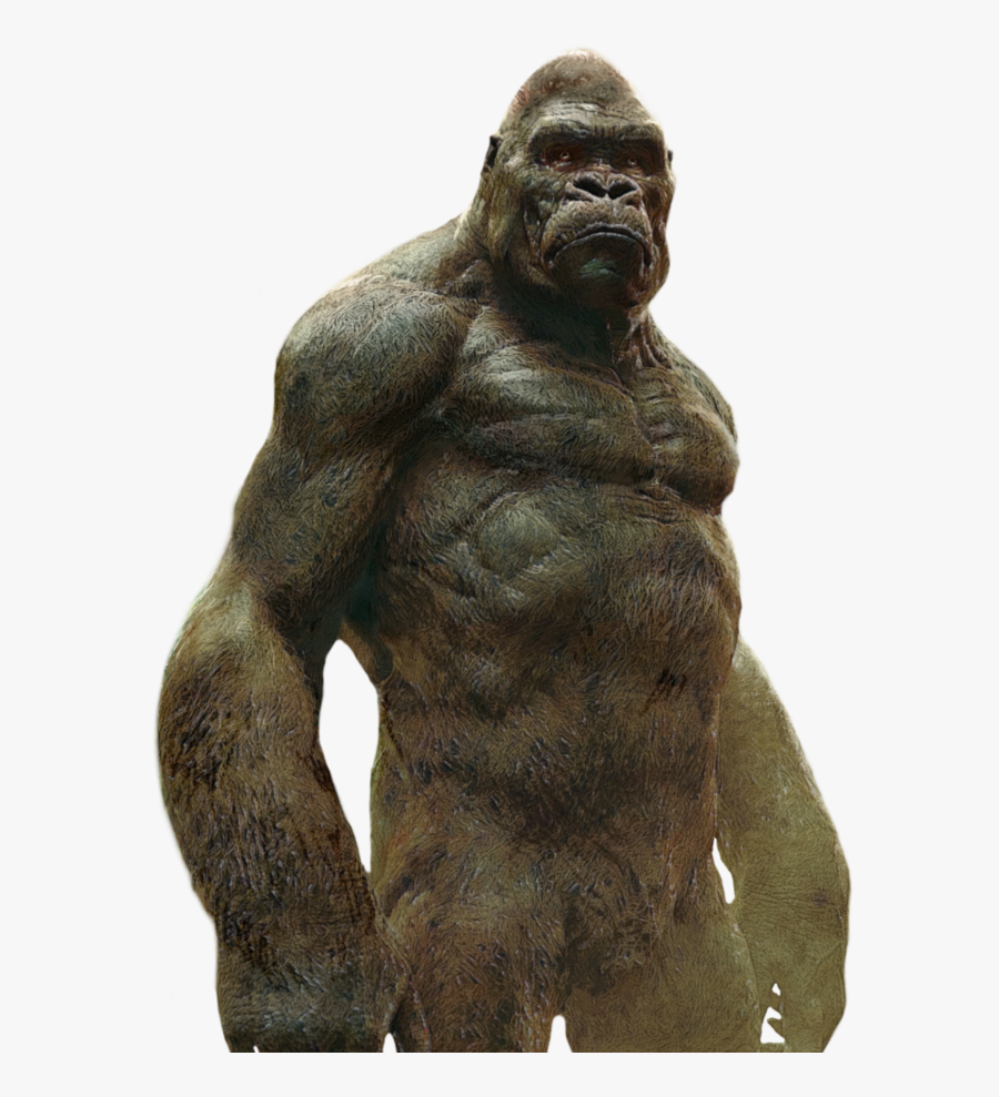 #mq #kingkong #gorilla #monkey - King Kong Film Png, Transparent Clipart