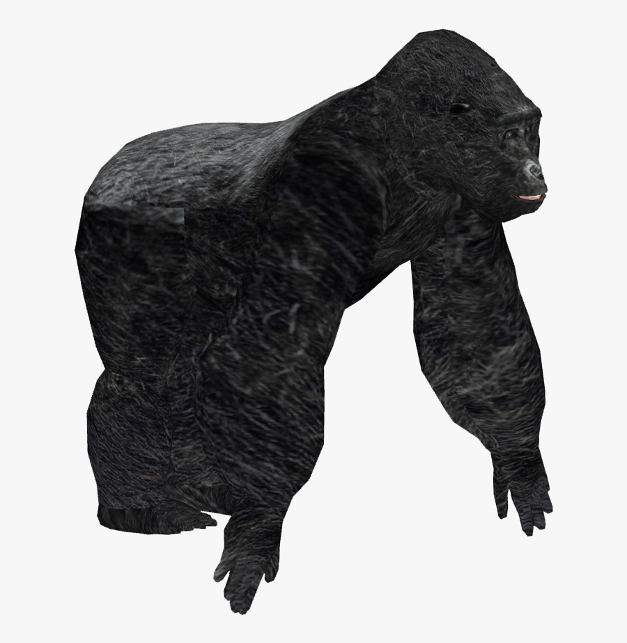 Clip Art Image Png Zt Download - Zoo Tycoon King Kong, Transparent Clipart
