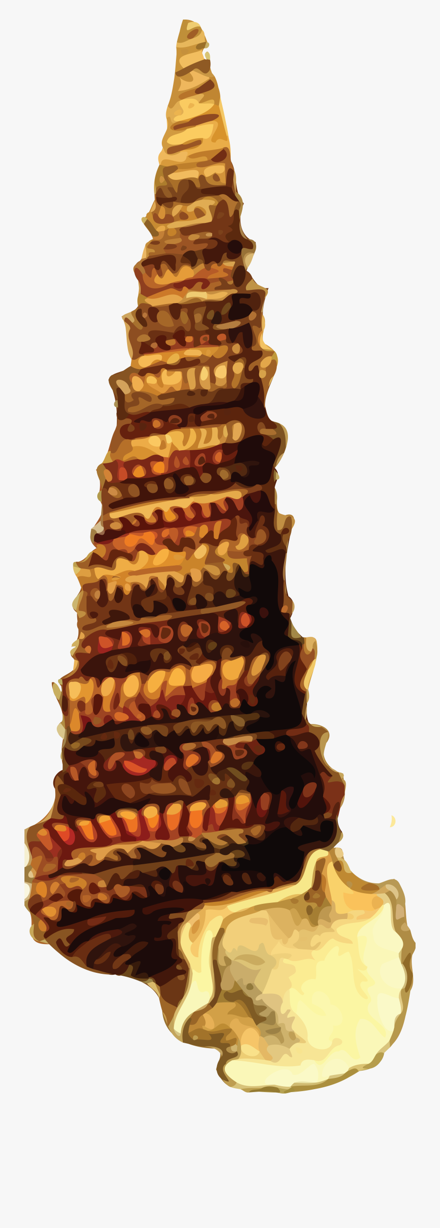 Free Clipart Of A Sea Shell - Seashell, Transparent Clipart