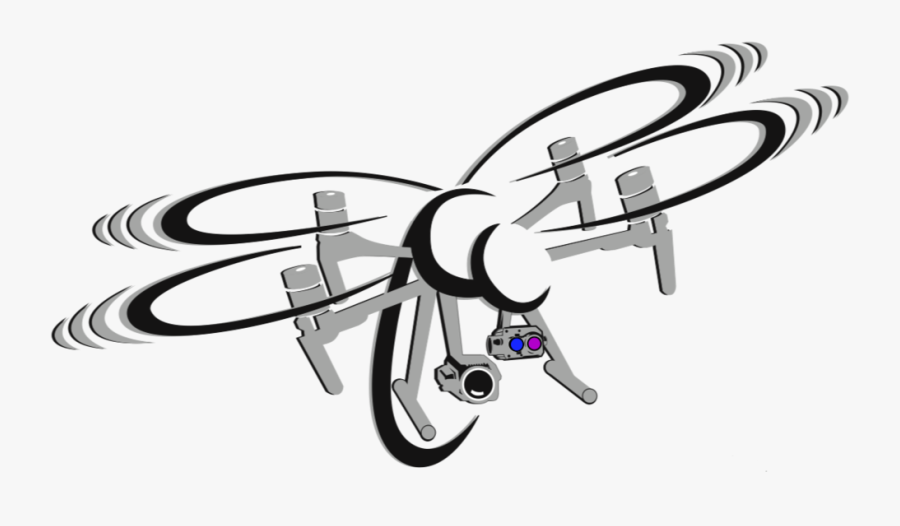 Firefly Png, Transparent Clipart