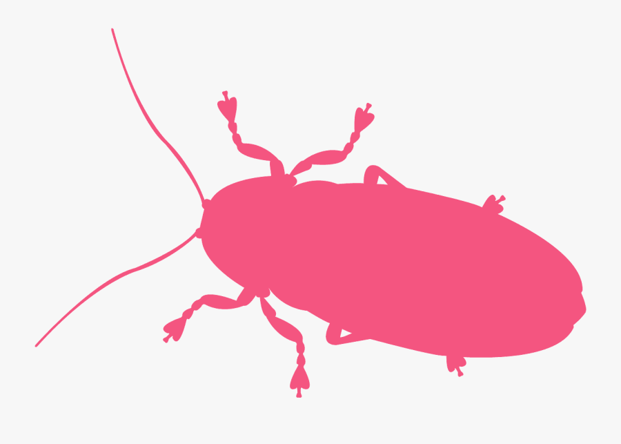 Weevil, Transparent Clipart