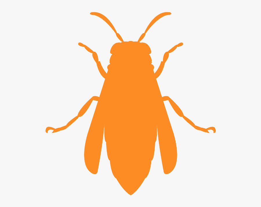 Bee, Transparent Clipart