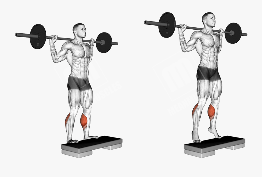 Muscles Does Overhead Press Work, Transparent Clipart