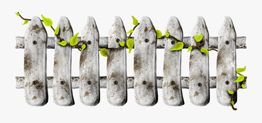 Renkli Çitler Png, Transparent Clipart