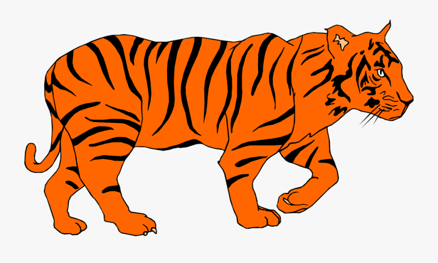 Auburn Tigers Vakanzi Clipart - Siberian Tiger, Transparent Clipart