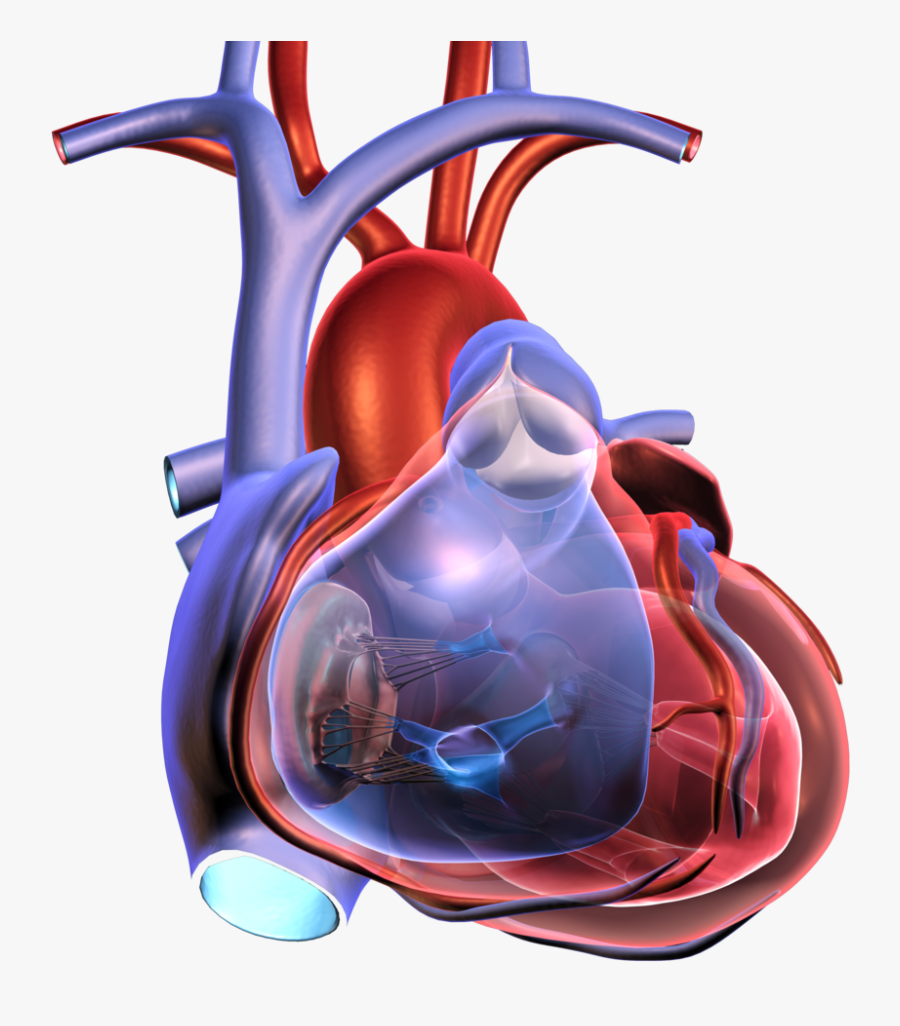 Disease Clipart Heart Attack - Heart Clinic Hd Photo Png, Transparent Clipart