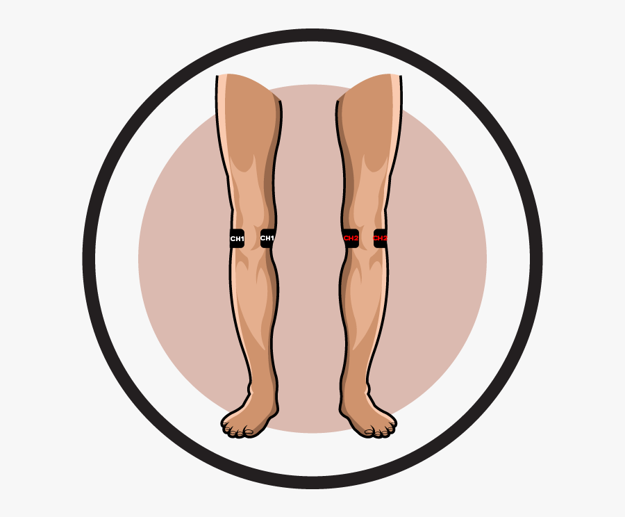 Knee Clipart Thigh - Tens Unit Pad Placement For Knee, Transparent Clipart