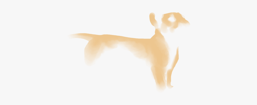Cat Dog Desktop Wallpaper Paw Ear - Cat Jumps, Transparent Clipart