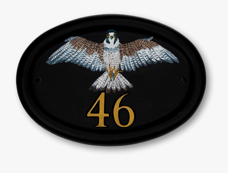 Peregrine Falcon Flat Painted House Sign - Hawk, Transparent Clipart