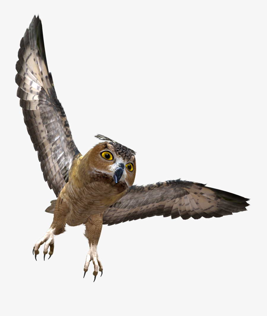 Peregrine Falcon Clipart Transparent - Owl Flying Transparent Background, Transparent Clipart