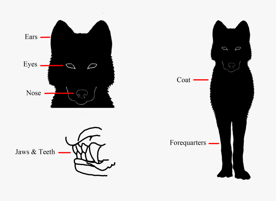 Clip Art Basalt Breed Standard - Guard Dog, Transparent Clipart