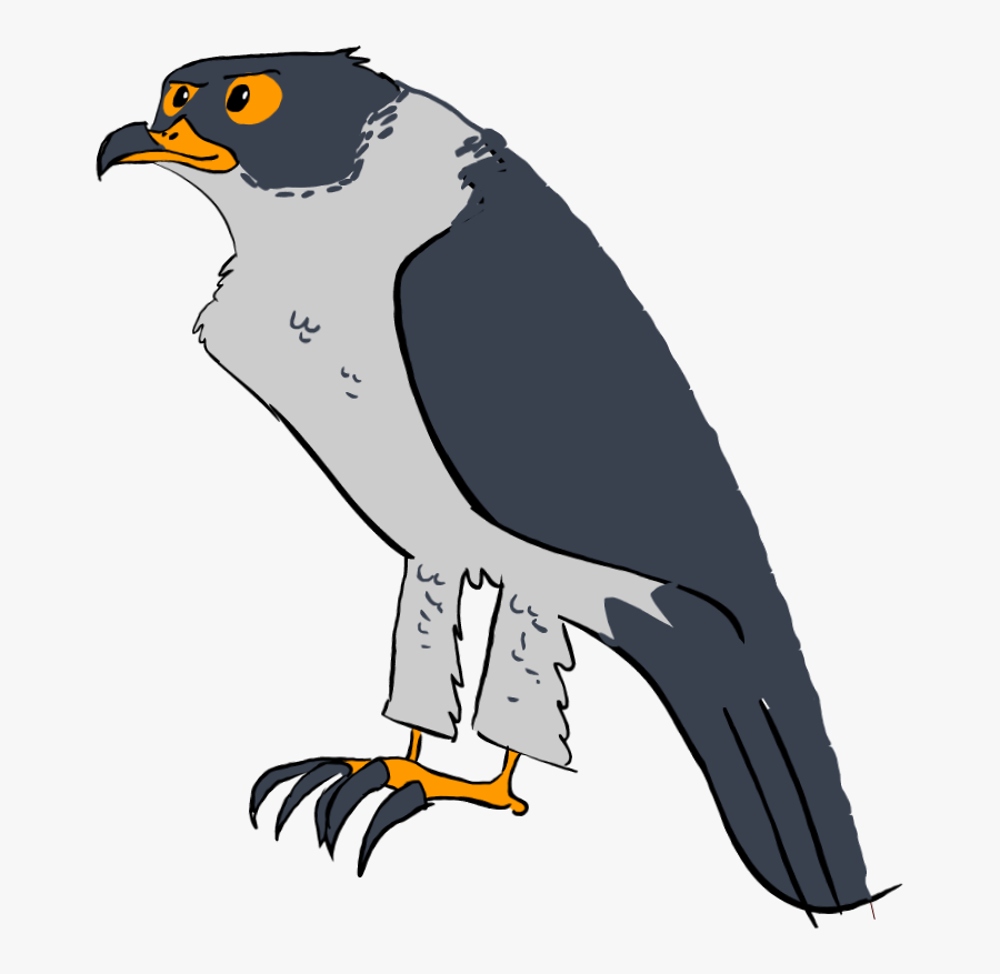 Eagle, Transparent Clipart