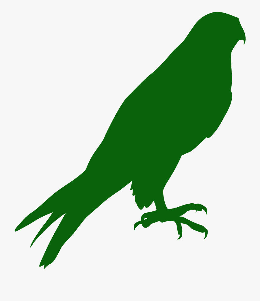 Faucon Silhouette, Transparent Clipart