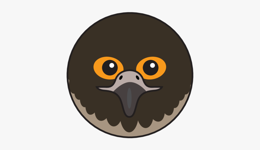 Animaru Peregrine Falcon - Cartoon, Transparent Clipart