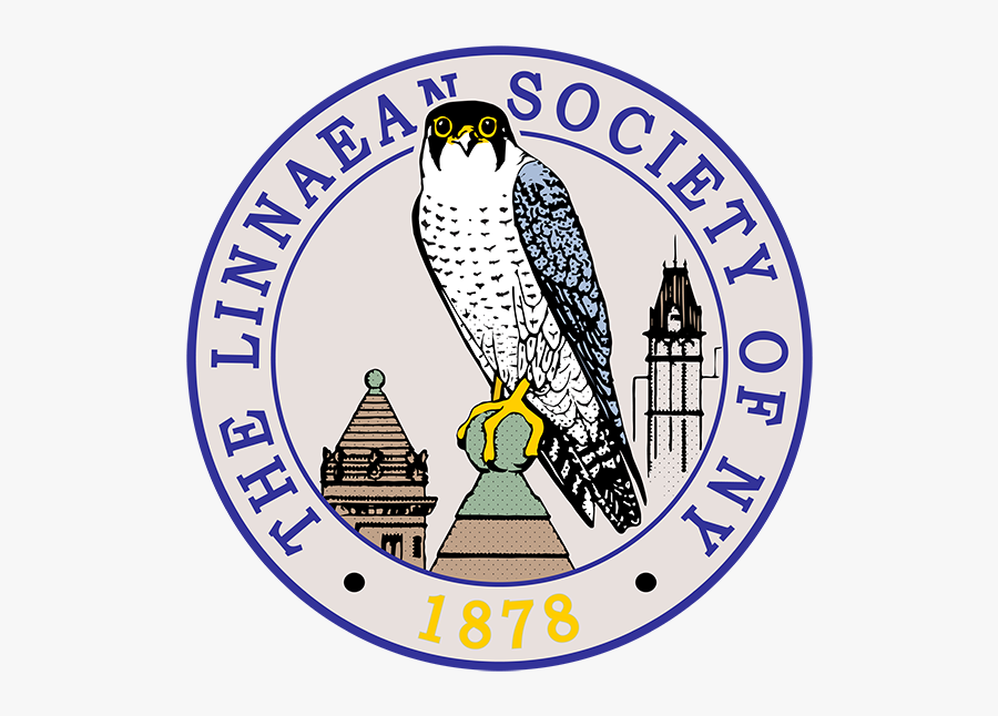 Washington And Lee University Seal, Transparent Clipart