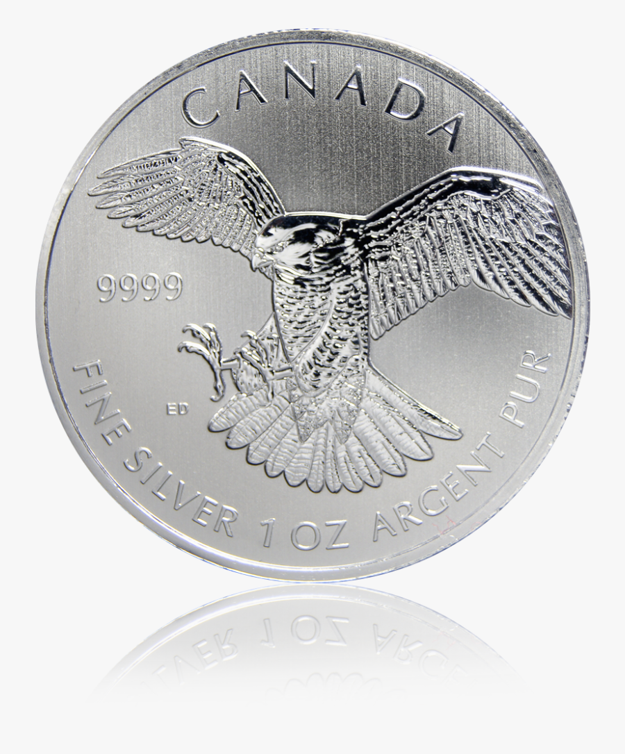 Birds Of Prey "peregrine Falcon - Coin, Transparent Clipart