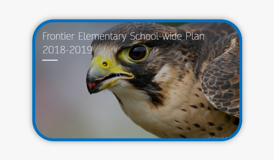 Frontier Title One Plan - Falcon With A Cap, Transparent Clipart