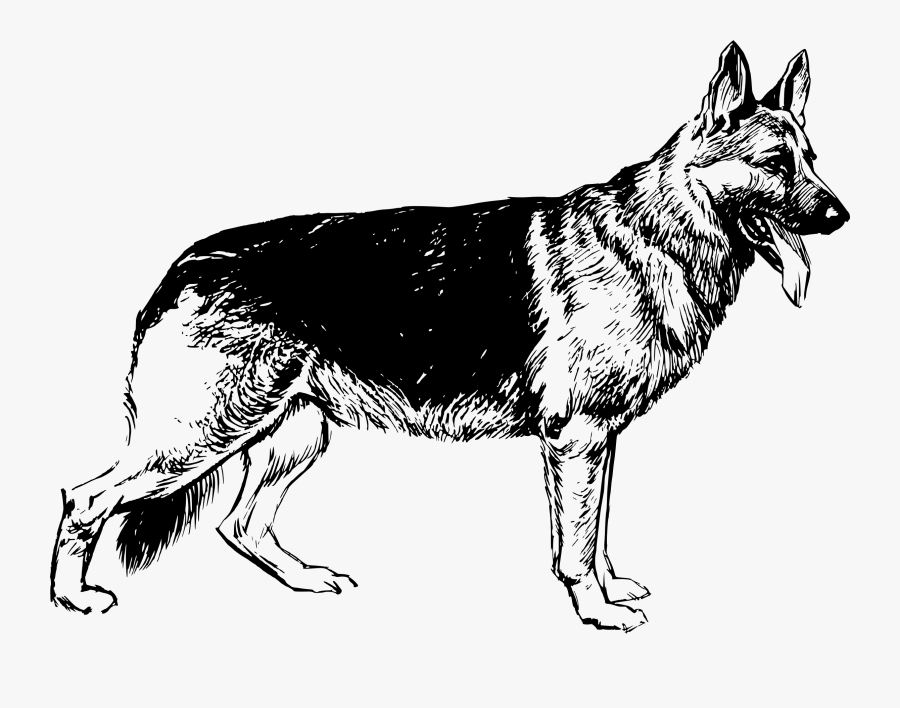 Clipart - German Shepherd Black And White, Transparent Clipart