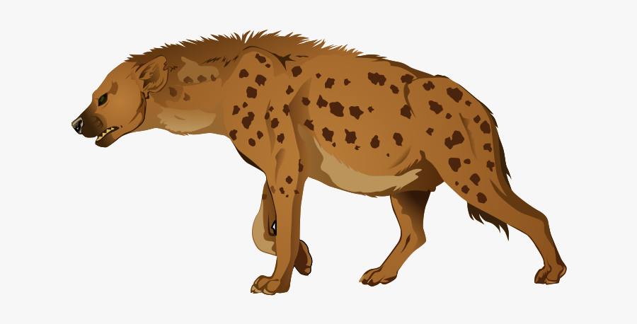 Hyena Png Free Background - Spotted Hyena, Transparent Clipart