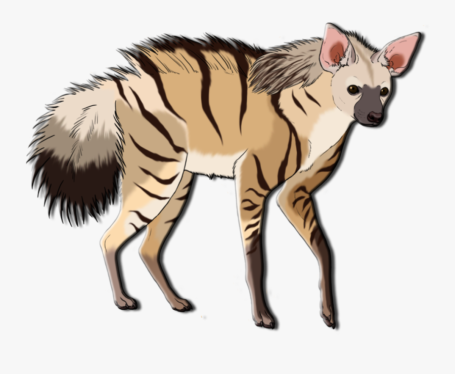 Hyena, Transparent Clipart