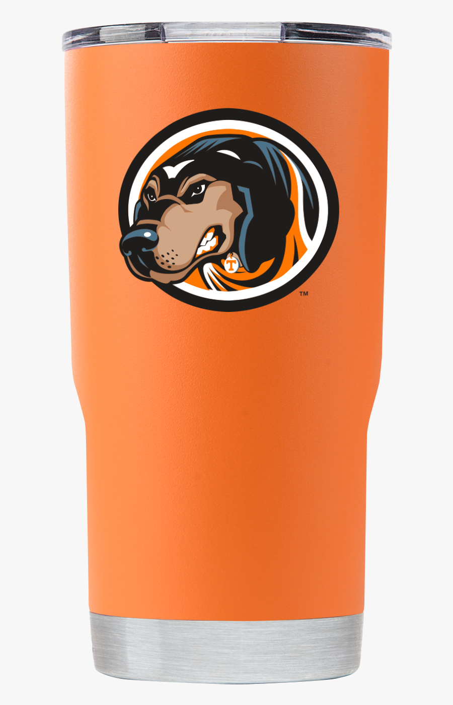 Lion - Companion Dog, Transparent Clipart