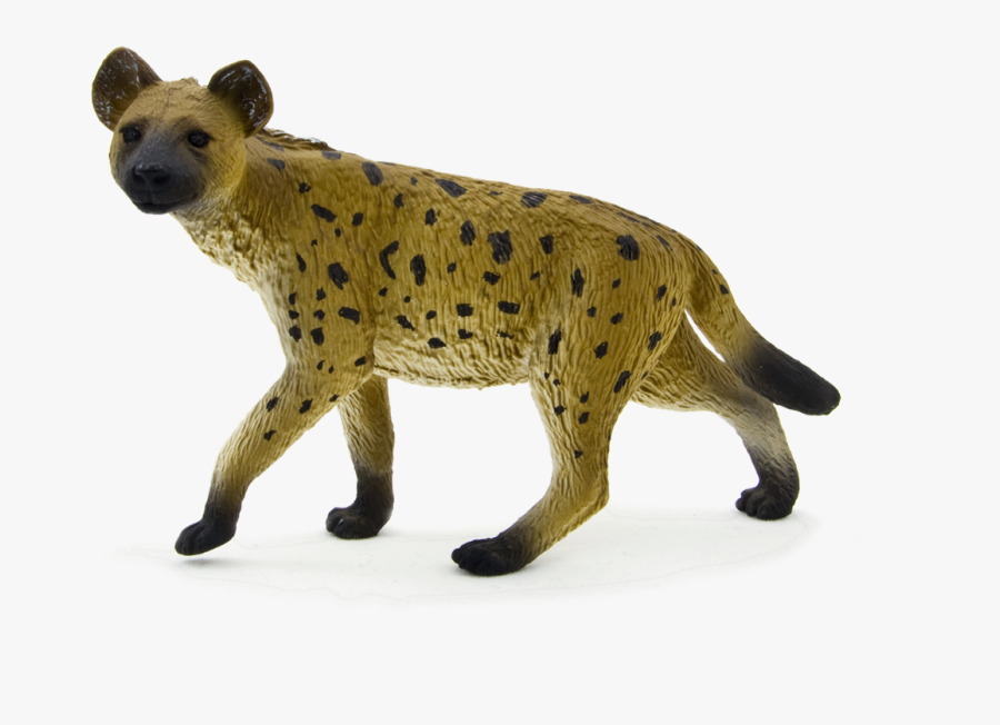 Hyena Png Free Download - Hyena Png, Transparent Clipart