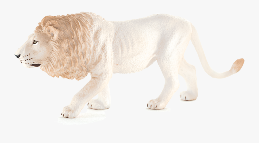 Lion, Transparent Clipart