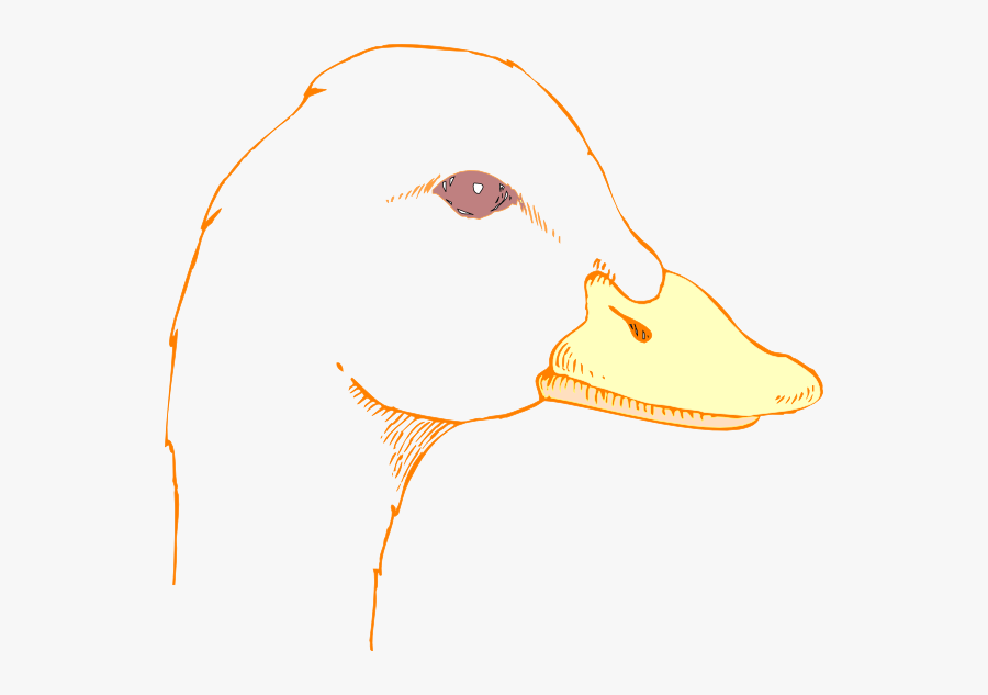 Duckling Clipart Duck Head - Draw A Duck Head, Transparent Clipart